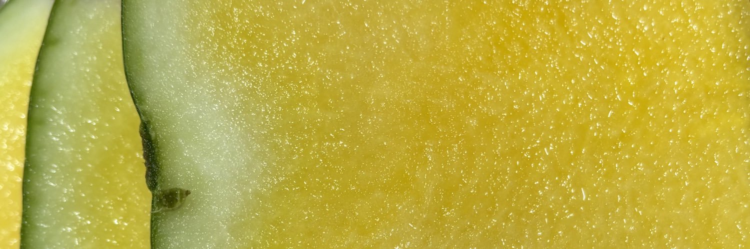 lemon0seltzer's profile banner image