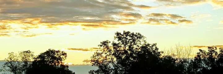 natureisliving's profile banner image