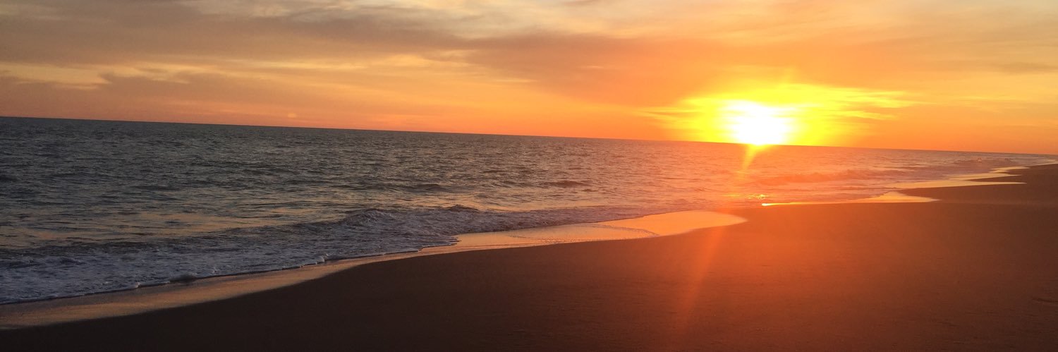 meeechy's profile banner image