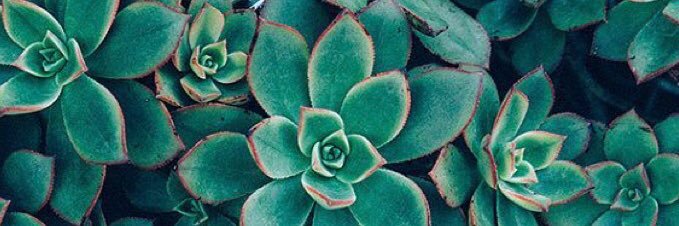 AnaLDuran1's profile banner image