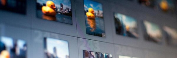 securecat Profile Banner