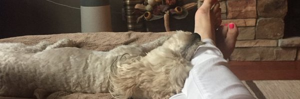 averypottle Profile Banner