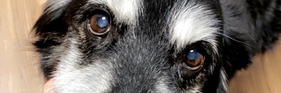 KatyCarges's profile banner image