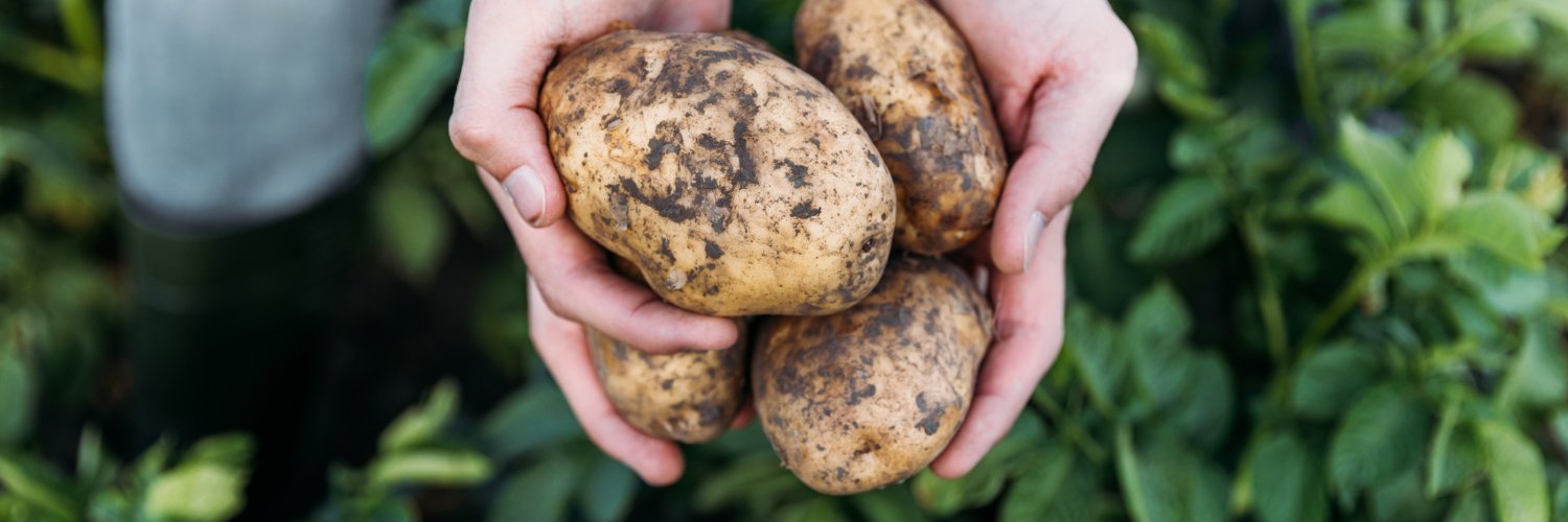 Potatoes New Zealand banner