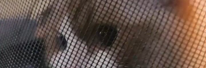 numadee's profile banner image