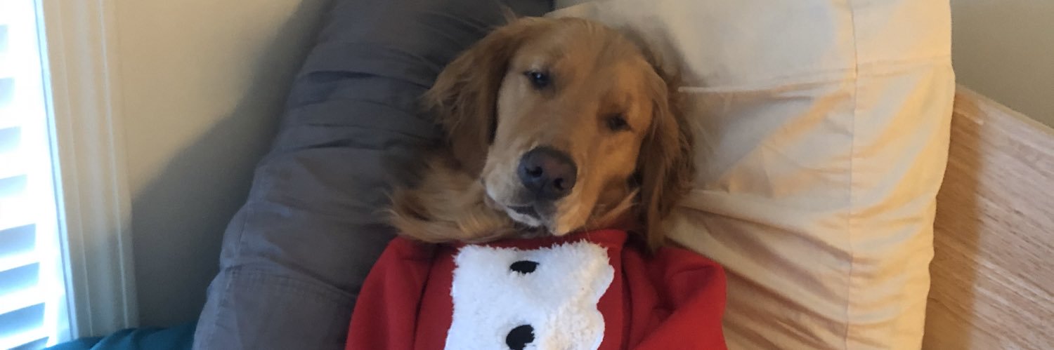 bgivs18's profile banner image