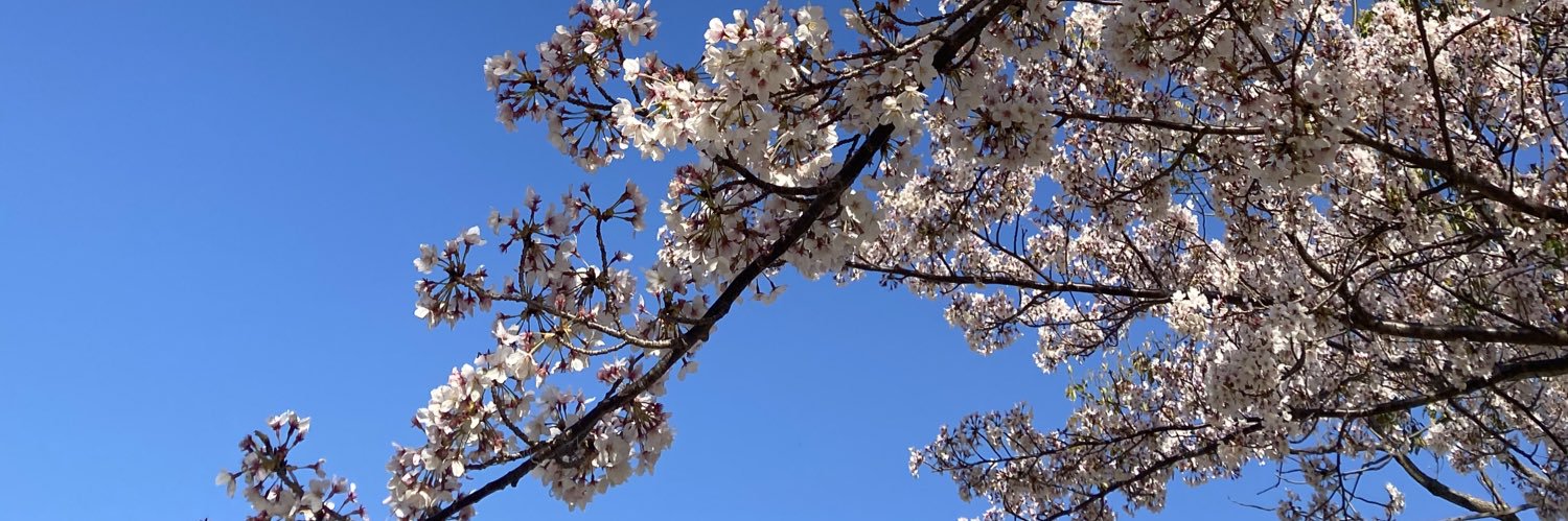 hm0523's profile banner image
