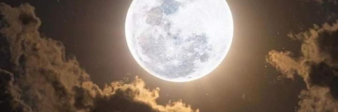 🌼 banner