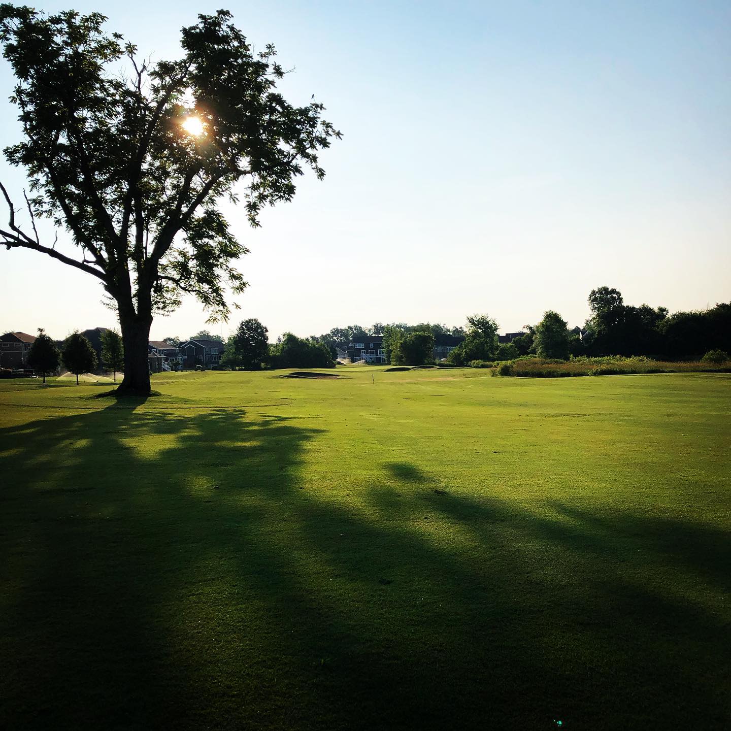 Coach Masters banner