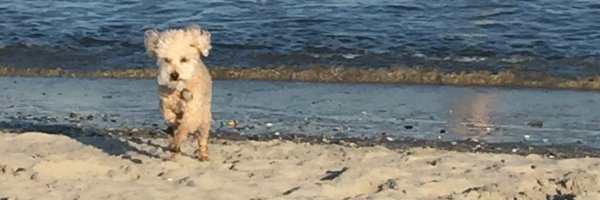 muhzle Profile Banner