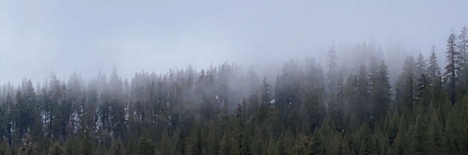 Zack_Patrick22's profile banner image