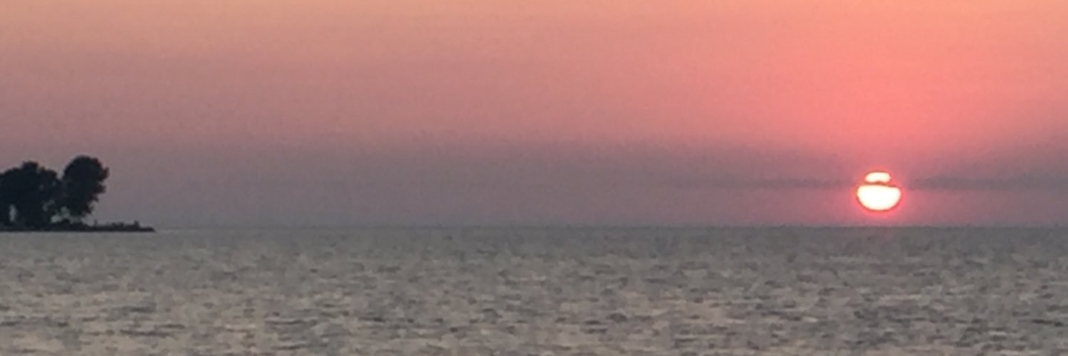 RZautner's profile banner image