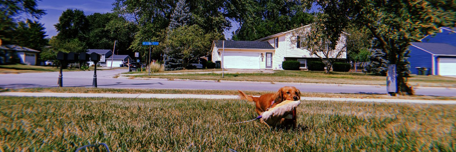 Kayy_Carr's profile banner image
