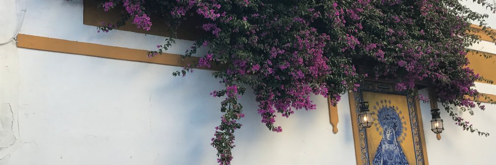 nicolecsilver's profile banner image