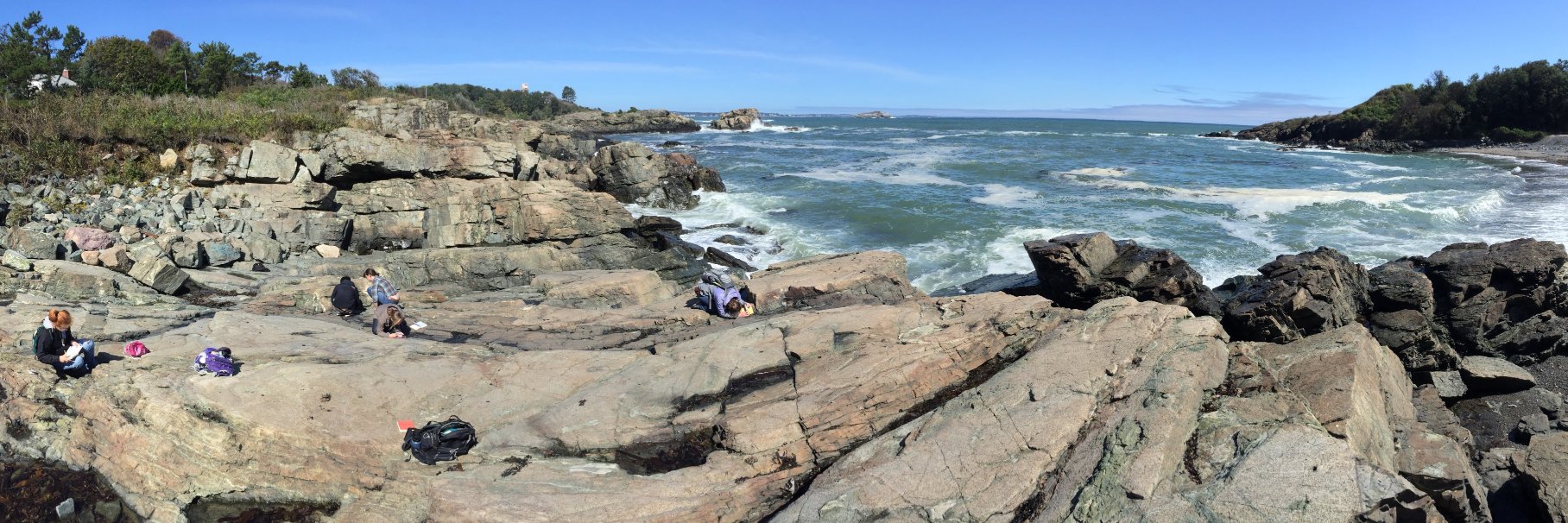 Emerson Lynch banner