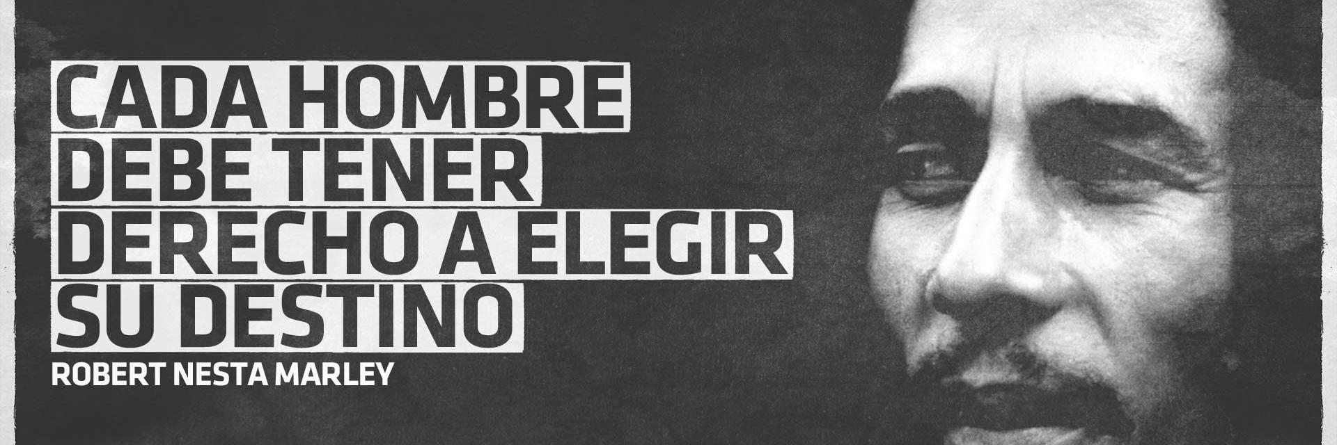 leandbona's profile banner image