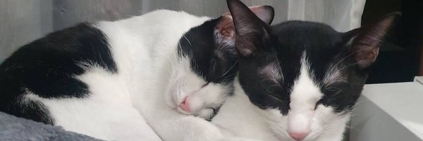 maxky_rp Profile Banner