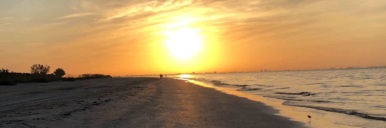 giulianascar's profile banner image