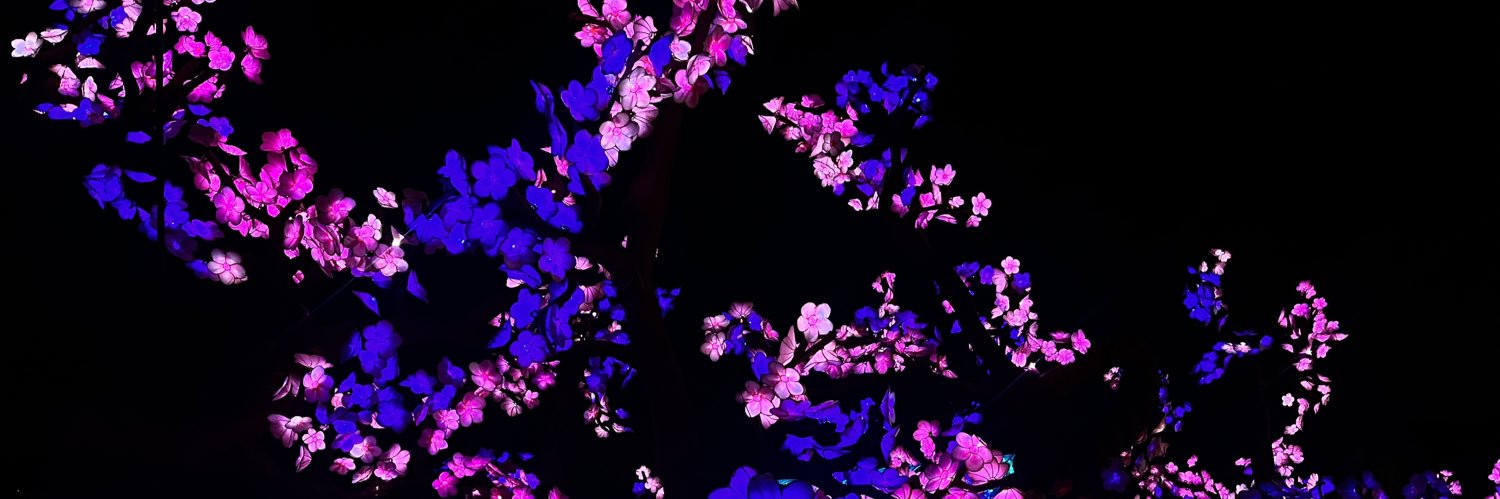chase_stace's profile banner image