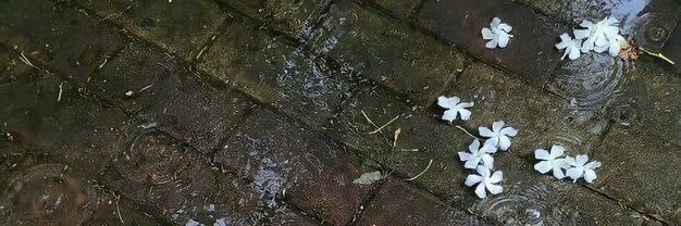 warmails's profile banner image