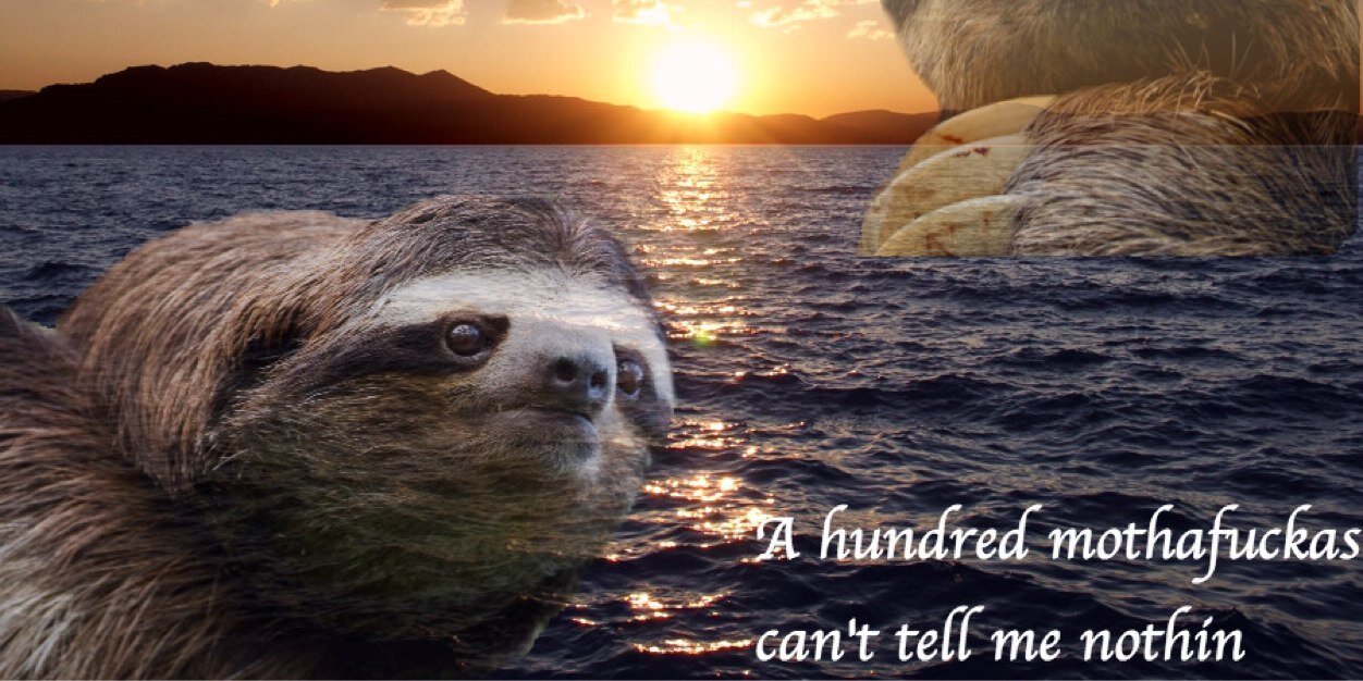 fuzzybear50's profile banner image