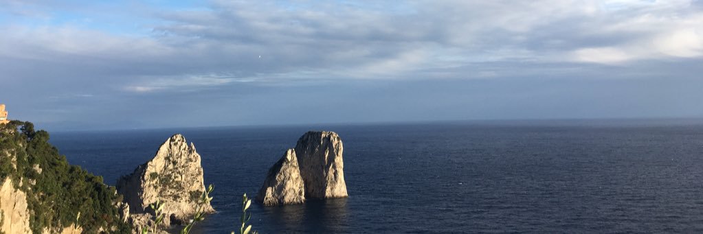 ayaroka's profile banner image