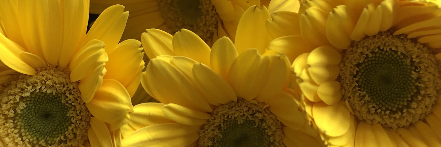 bcrombs's profile banner image
