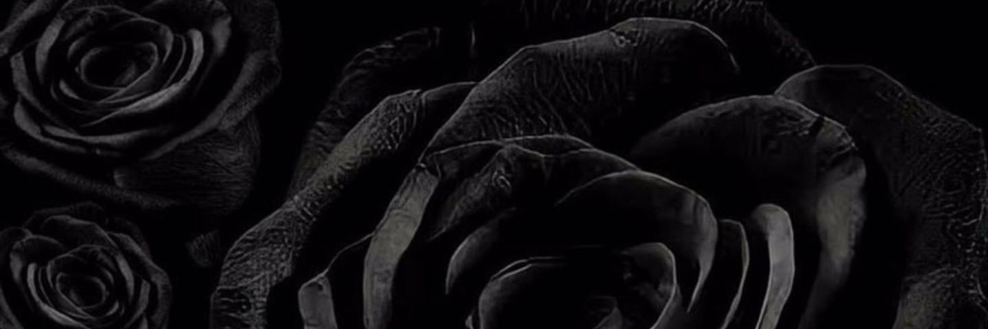 o0kas's profile banner image