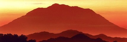 Nathan McDowell banner