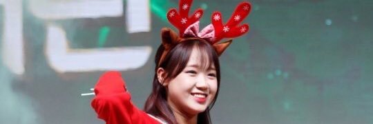 beaglepowa's profile banner image
