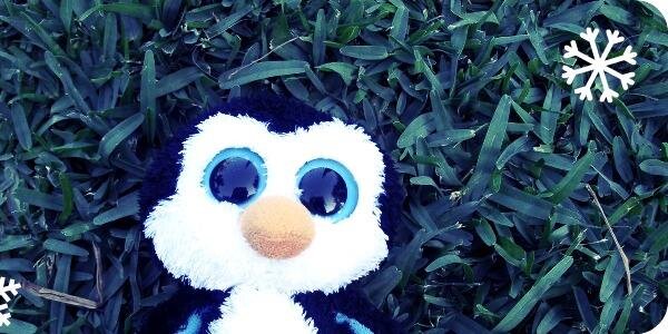 camdelito's profile banner image