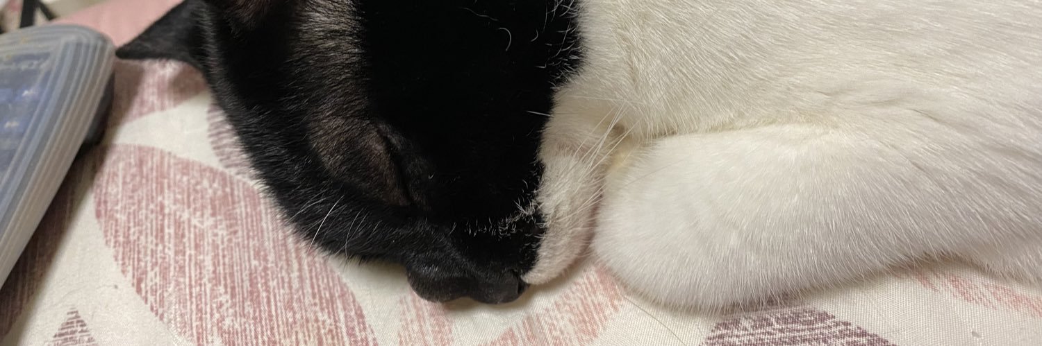 0101Lily's profile banner image