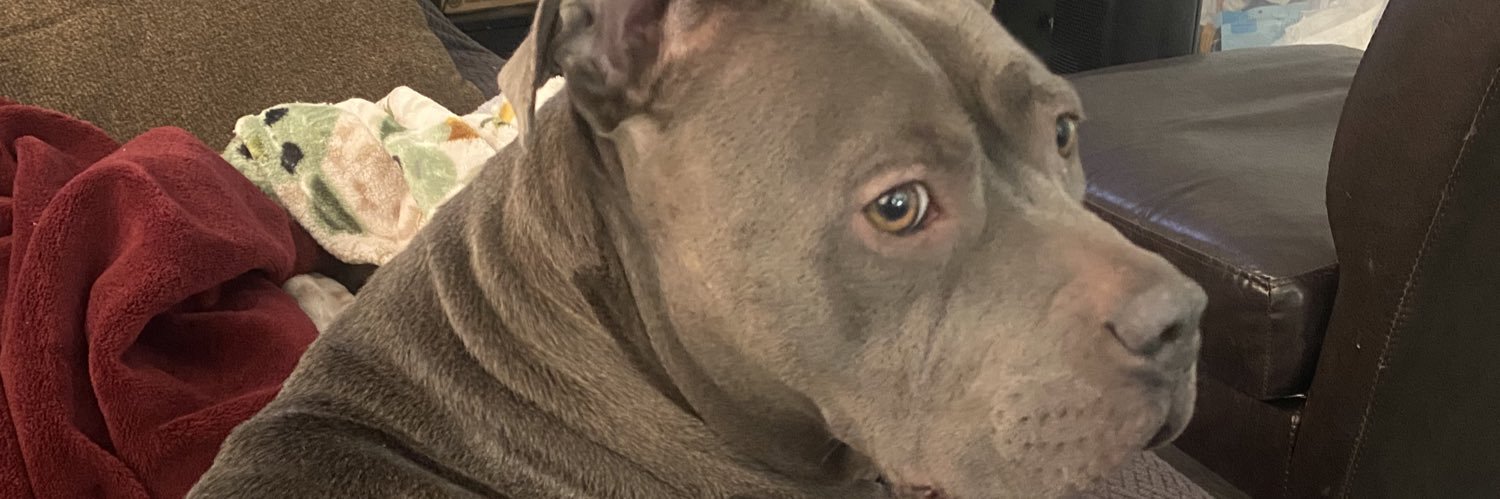 IzzyDoubleYou's profile banner image