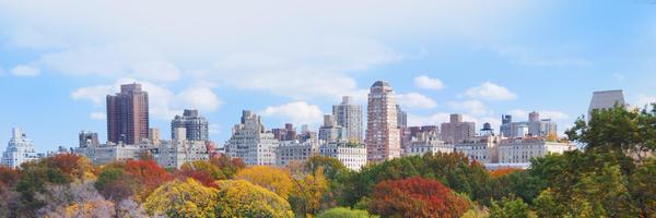 DCfinance Profile Banner