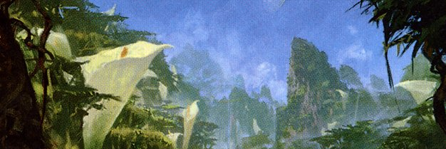 Bradley Schlesinger banner