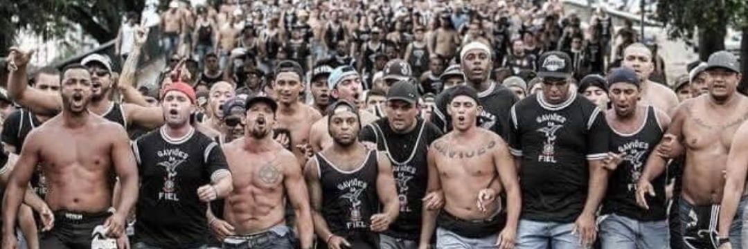 LLBRZFREE's profile banner image