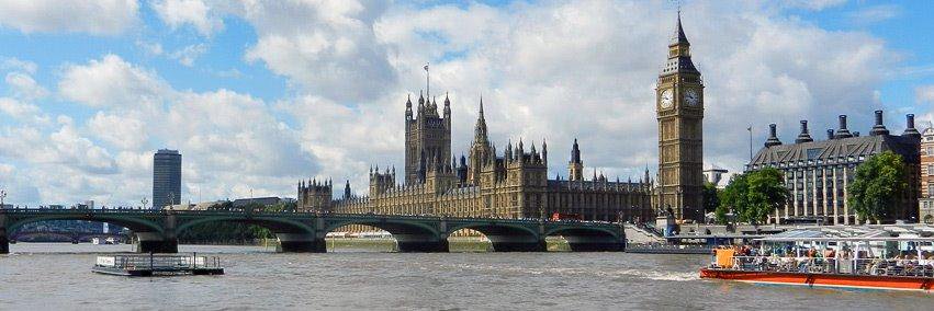 Rebecca Braun banner