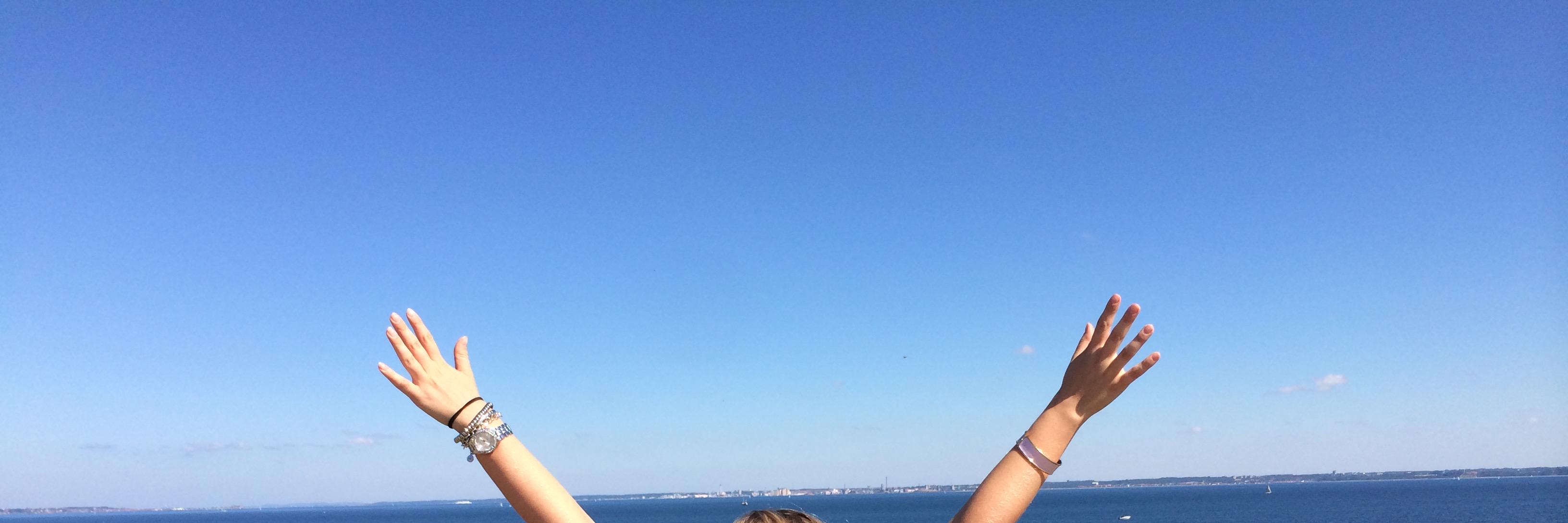 Sara Persson banner