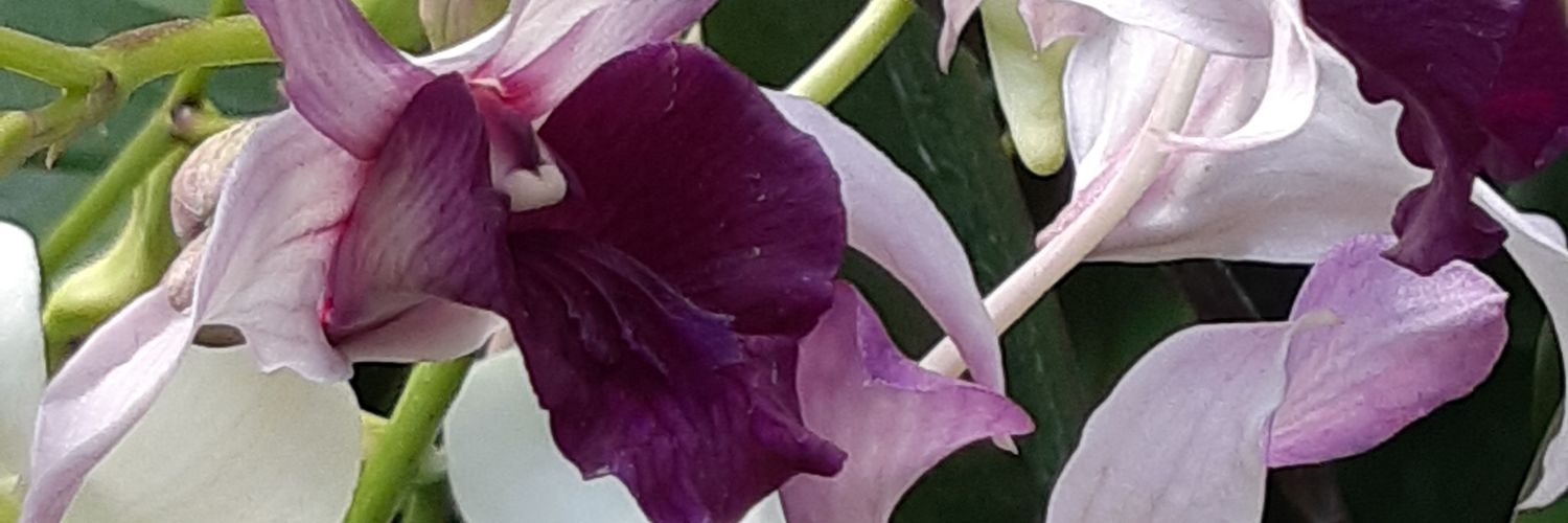 MRandim's profile banner image