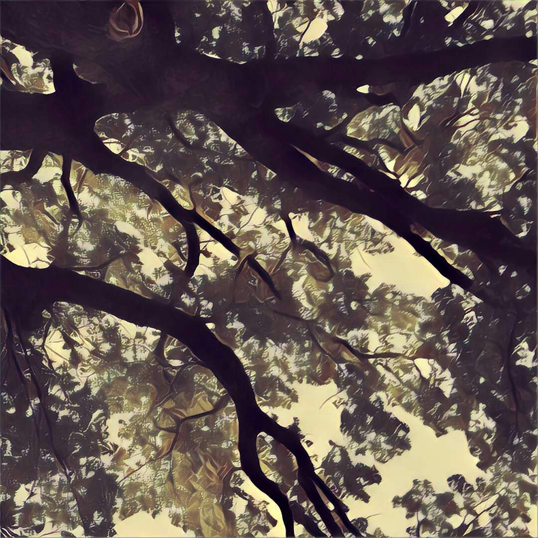 CastaJF's profile banner image
