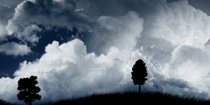tbedunah's profile banner image