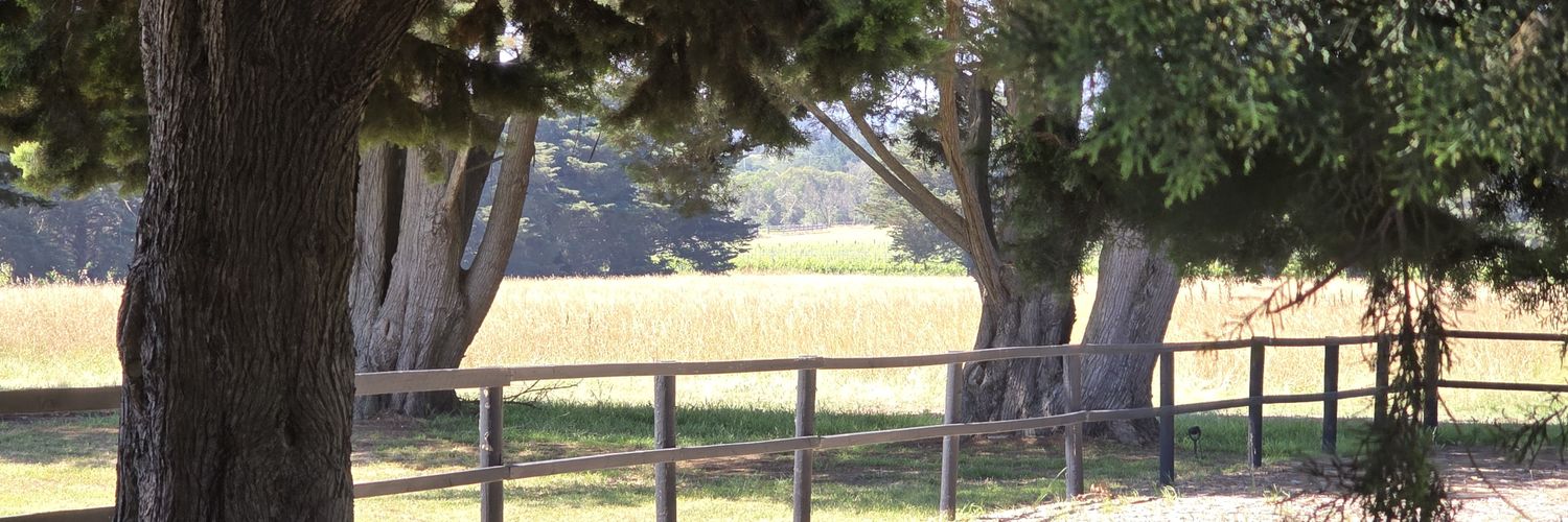 StevenJones59's profile banner image
