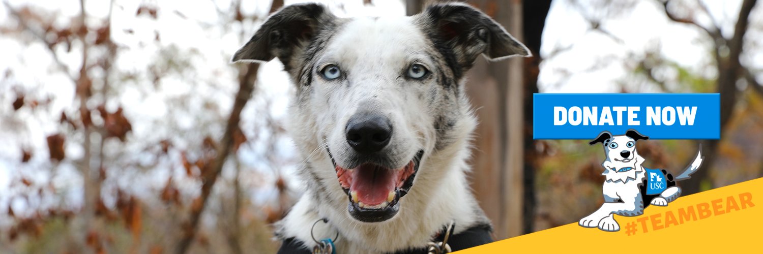 USC Detection Dogs banner