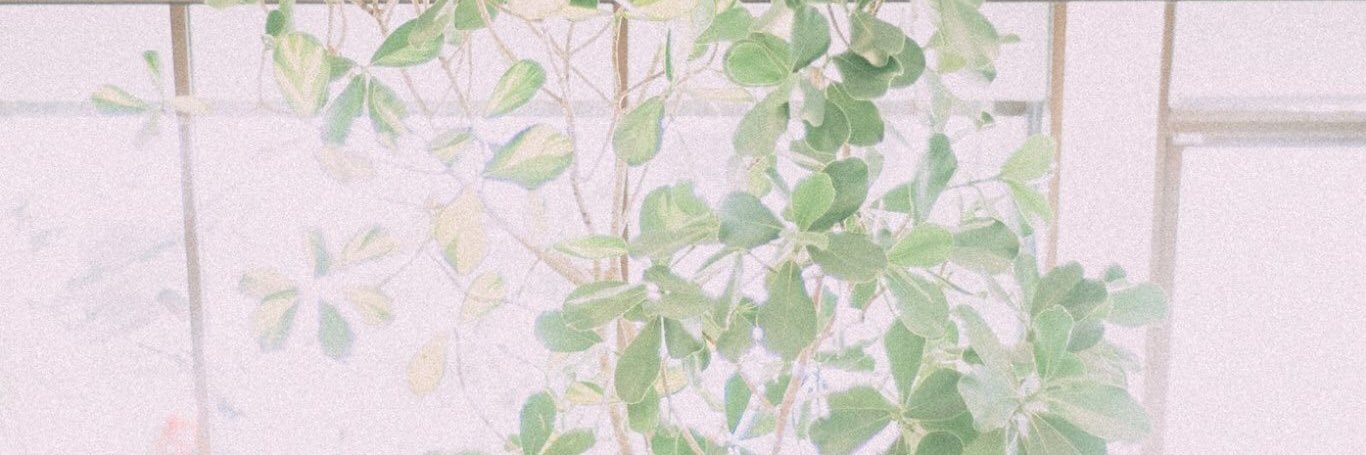 YPACHOM's profile banner image