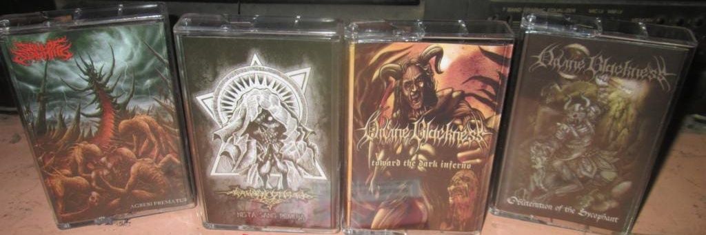 M E V E R I C K banner