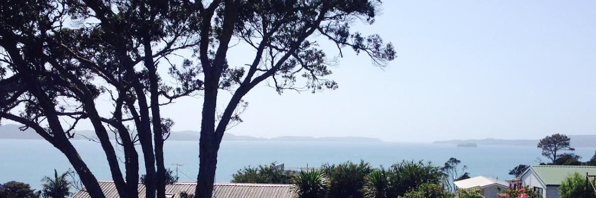 AllyMcCormickNZ's profile banner image
