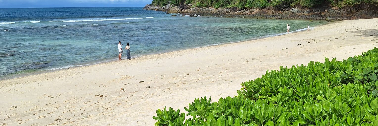 Margaret Alsop banner