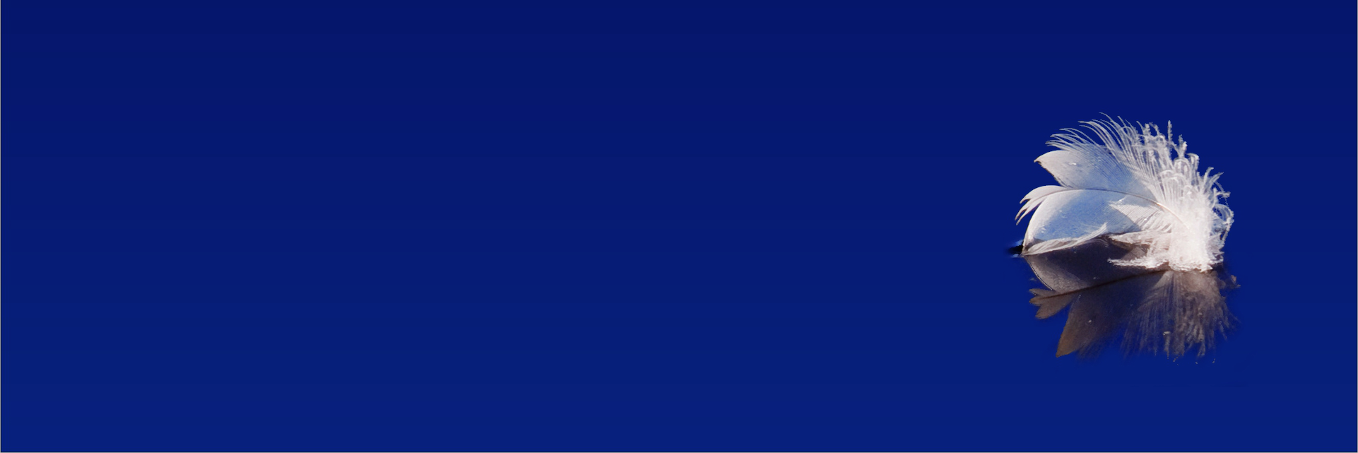eventNETch's profile banner image