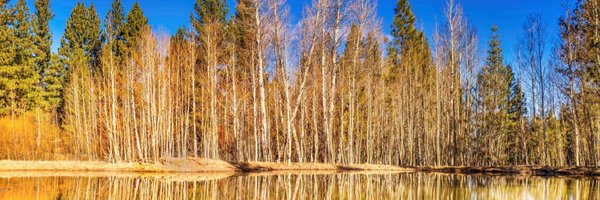 jan_plutzer Profile Banner