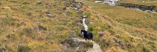 Kath McCrorie banner